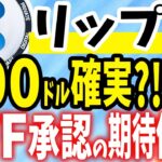 【リップル(XRP)】100ドル確実？！ ETF承認の期待値とは？【仮想通貨】【柴犬コイン】【CAW】【ビットコイン】