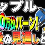 【リップル(XRP)】1200万枚バーン！今後の見通しとは？【仮想通貨最新情報】【仮想通貨】【今後】【柴犬コイン】【ripple】【SEC裁判】