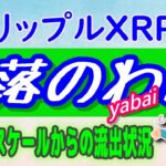 【リップル（XRP）】最近のクジラ（大口保有者）の動向⁉【仮想通貨】最新30日グレイスケールBTC流出状況