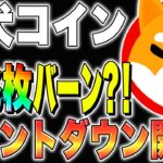 【柴犬コイン(shiba)】9兆枚バーン？！カウントダウン開始！【仮想通貨最新情報】【仮想通貨】【シバイヌ】【シバリウム】【今後】【リップル】