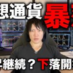 仮想通貨暴落！上昇はもう終わりか？継続か？ビットコイン、アルトコインの今後の値動きを解説