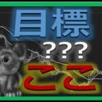 【仮想通貨ビットコイン今後】ここで下げ止まる！初心者でもわかるテクニカル分析