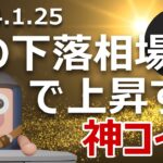 この下落相場でも価格が上昇している神コインがある
