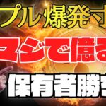 【爆益確定】リップル1000％上昇します!!今すぐ仕込んで下さい。【XRP】