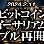 ビットコイン・イーサリアムバブル再開！？［2024/2/11］【仮想通貨・BTC・ETH・FX】※2倍速推奨