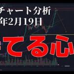 2024年2月19日ビットコイン相場分析