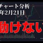 2024年2月21日ビットコイン相場分析
