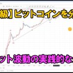 ビットコインをエリオット波動分析しました｜エリオット波動分析 2024年2月23日