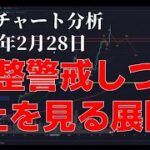2024年2月28日ビットコイン相場分析