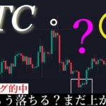 2/10「48000天井か？来週以降の動きとどこが買い場になるか解説します」ビットコイン分析