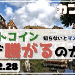 【カブラボ】2/28 知らないとマズイ! ビットコインはなぜ騰がるのか？