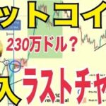 ビットコイン価格230万ドルまで到達する条件◯◯！？ビットコイン割安で購入できる最後のチャンス？