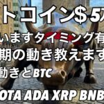 ビットコイン5万ドル超える 長期のBTCはこうなる　ADA AVEX IOTA BNB XRP LINK