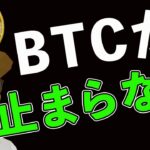 BTCが止まりません❗️現物2700万円分買う方へアドバイス