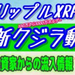 【リップルXRP】最新クジラ動向【仮想通貨】機関投資家からの資金流入報告