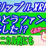 【リップルXRP】パートナーシップの発表を受けて上昇！【仮想通貨】テクニカル的にも爆発寸前⁉