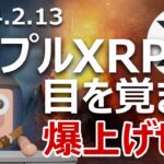 リップルがXRP市場レポート公開。復活爆上げの種を探す