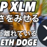 リップルXRP XLM 強さをみせる　ビットコイン イーサリアム DOGE チャート分析