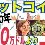 【2030年】ビットコイン100万ドル以上に上昇する可能性！？BTC価値保存手段に100兆ドルの価値ある！