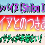 【シバイヌ（Shiba Inu)】ボラティリティが半端ない⁉【仮想通貨】億り人を参考にしよう！