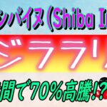 【シバイヌ（Shiba Inu)】信じられないほどの価格高騰！【仮想通貨】理由はクジラ⁉