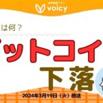 ビットコイン下落⁉️要因は何か❓関連レポートを解説！【Voicy 2024年3月19日放送】