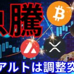 ビットコイン XRP アバランチ急騰！！一部 アルトコイン 調整突入？