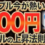 【リップル(XRP)】バブル前上昇の法則解明！今上がらない理由は〇〇 ここから爆上げします【仮想通貨最新情報】【柴犬コイン】【シバイヌコイン】【shibaコイン】【CAW】【ビットコイン】