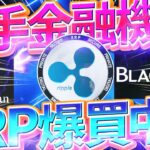 【リップル(XRP)】大手金融機関がリップル爆買い中！？【仮想通貨最新情報】【柴犬コイン】【シバイヌ】【シバリウム】【ビットコイン】【BTC】