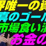 【米国株】金vsビットコイン『真のゴールド』市場規模を食いつぶす！富の貯蔵、資産インフレ通貨破綻！景気後退リセッション暴落FRB政策【NASDAQ100レバナスS&P500投資ナスダック経済ニュース】