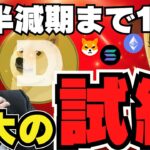 【💀仮想通貨急落】バブル直前で下落！ドージとイーロンの関係に新情報｜今爆億コインは？｜ビットコイン急落も今後8万ドル？｜イーサリアムクジラが動く｜猫系Solanaミームコインが話題｜