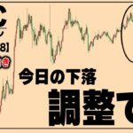 ビットコインまだ上目線です。と今日ゴールドで90万勝てた理由【ETH,ドル円,ゴールド】