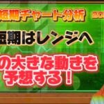 BTC短期チャート分析【2024/4/6】短期はレンジ相場へ！？次の大きな動きを予想する！！