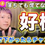 【チャンス!?】ビットコイン・今夜のCPIで下がったら押し目買いのチャンスになると思います！もうFRBは動きません。戦略を微調整します！【最新の仮想通貨分析を公開】