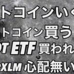 ビットコイン現物ETFトータルネットフロウから買う　XRP XLM心配無い