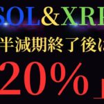 【SOL（ソラナ）/XRP（リップル）】半減期終了！今後の予測！！