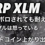 リップル XRP XLM  ビットコイン ここから大事　アルトコインが上がり出す