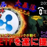 リップル（XRP）ETFが遂に動く？！１１の銀行とブラックロックが提出！テンセットミームコインがやばすぎる！CATAMOTOが凄い！