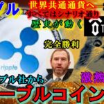 リップル（XRP）からステーブルコインが発行！XRPはどうなる？世界共通通貨へ向けてシナリオ通り⁉テンセットMemeが激熱すぎる！バブルはまだまだ終わらない