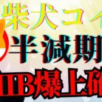 【柴犬コイン】次の爆上は○○！今後の値動きはどうなる？最新相場分析と購入ポイントを解説！【仮想通貨最新情報】【シバイヌコイン】