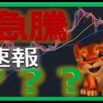 【仮想通貨ビットコイン今後】急騰前の準備！初心者でもわかるテクニカル分析