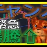 【仮想通貨ビットコイン今後】上昇のトリガーはこれ！初心者でもわかるテクニカル分析