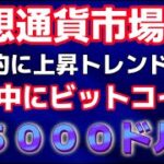 ビットコイン長期的に上昇トレンド。半減期後の調整を終えて８５０００ドルへ。