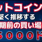 ビットコイン押し目買いで６５０００ドルで買い待機。半減期前に上昇に乗るチャンスへ。