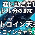 ビットコイン ビットコインキャッシュが10年越し動き始めた 2024