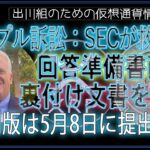 ［20240507］リップル訴訟：SECが救済策、回答準備書面、裏付け文書を提出｜公開版は5月8日に提出予定【仮想通貨・暗号資産】