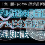 ［20240526］リップル訴訟の最新情報：リップルは救済段階でのトーレス判決に備えているのか？【仮想通貨・暗号資産】