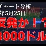 2024年5月25日ビットコイン相場分析