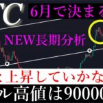5/29🔑「2024年バブルはどこまで続く？6月の動きで今年が決まるバブル天井を解説します」ビットコイン 分析
