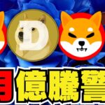 【🔥6月ドージ柴犬爆億か】仮想通貨下落！今後の見通しは｜ビットコイン強気予想！イーサリアム過去最高を超えるか｜今急上昇コインは〇〇｜Solanaは？